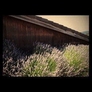 Meet your Posher, Debra